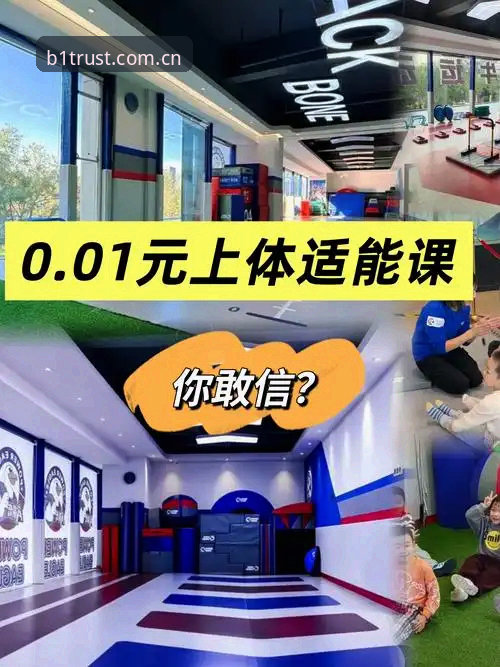 B1SPORTS官方地址 必一运动体育平台深度评测:从技术视角解析B1SPORTS官方地址的真实体验